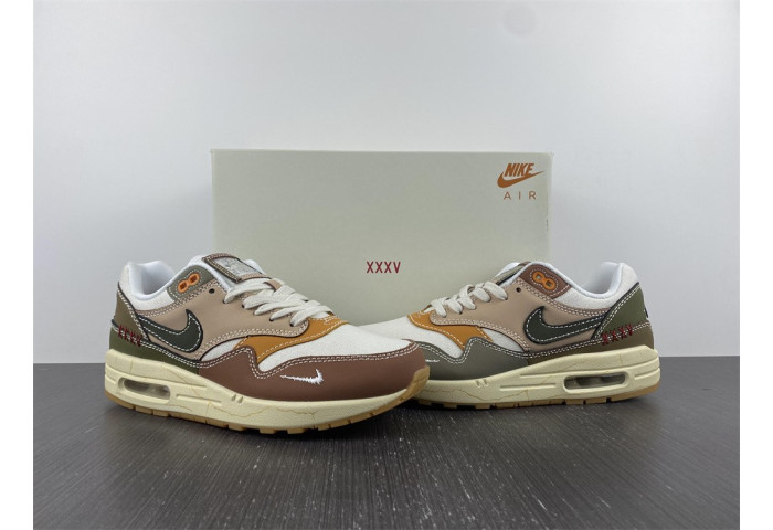 Nike Air Max 1 Premium Wabi-Sabi DQ8656-133