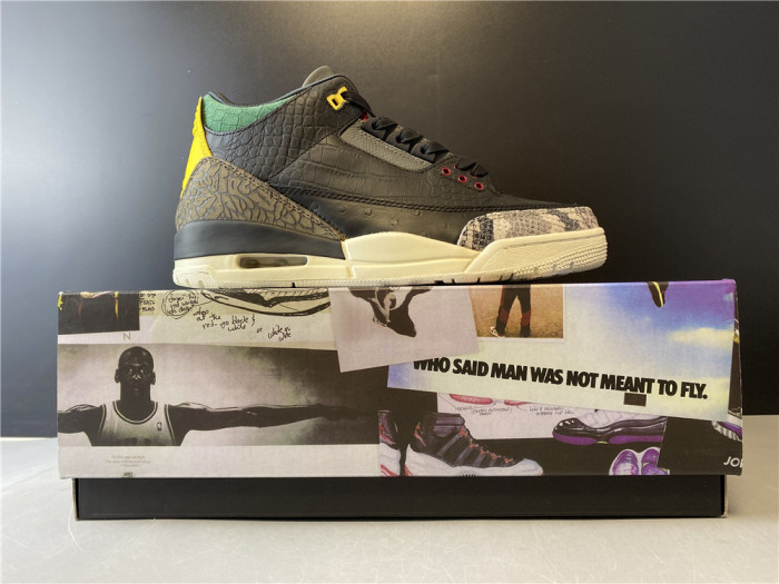 Jordan 3 Retro SE Animal Instinct 2.0 CV3583-003