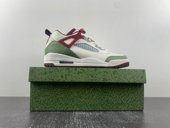 Air Jordan 3 FJ6372-100