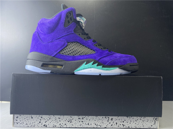 Jordan 5 Retro Alternate Grape 136027-500