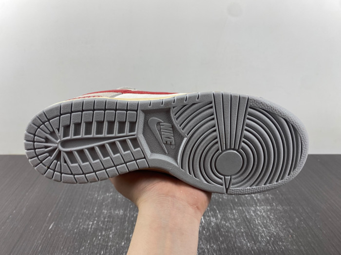 Nike SB Dunk Low FJ5429-133