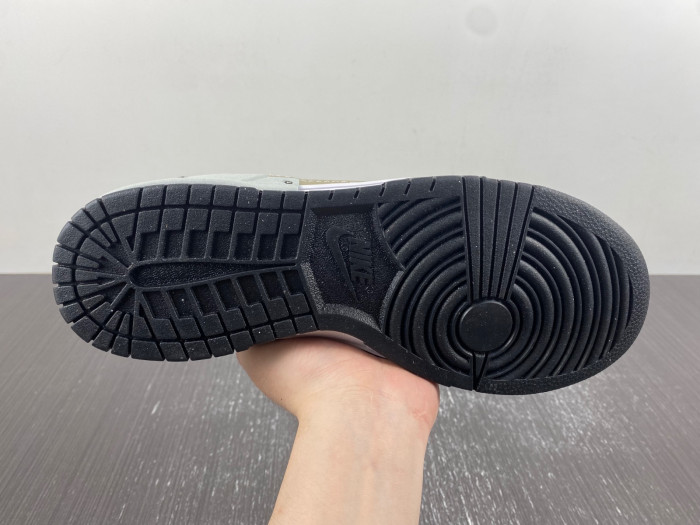 Nike Dunk Disrupt 2 DV4024-200