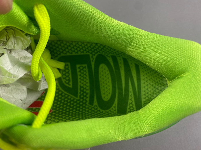 Nike Kobe 6 Protro “Grinch” CW2190-300