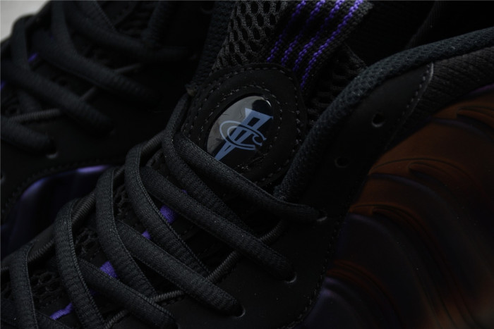 Nike Air Foamposite One Eggplant 314996-008