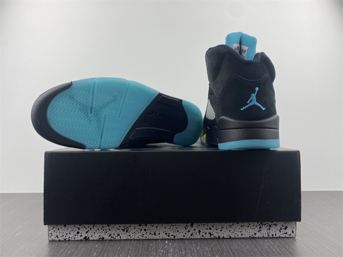 Air Jordan 5 408452-010
